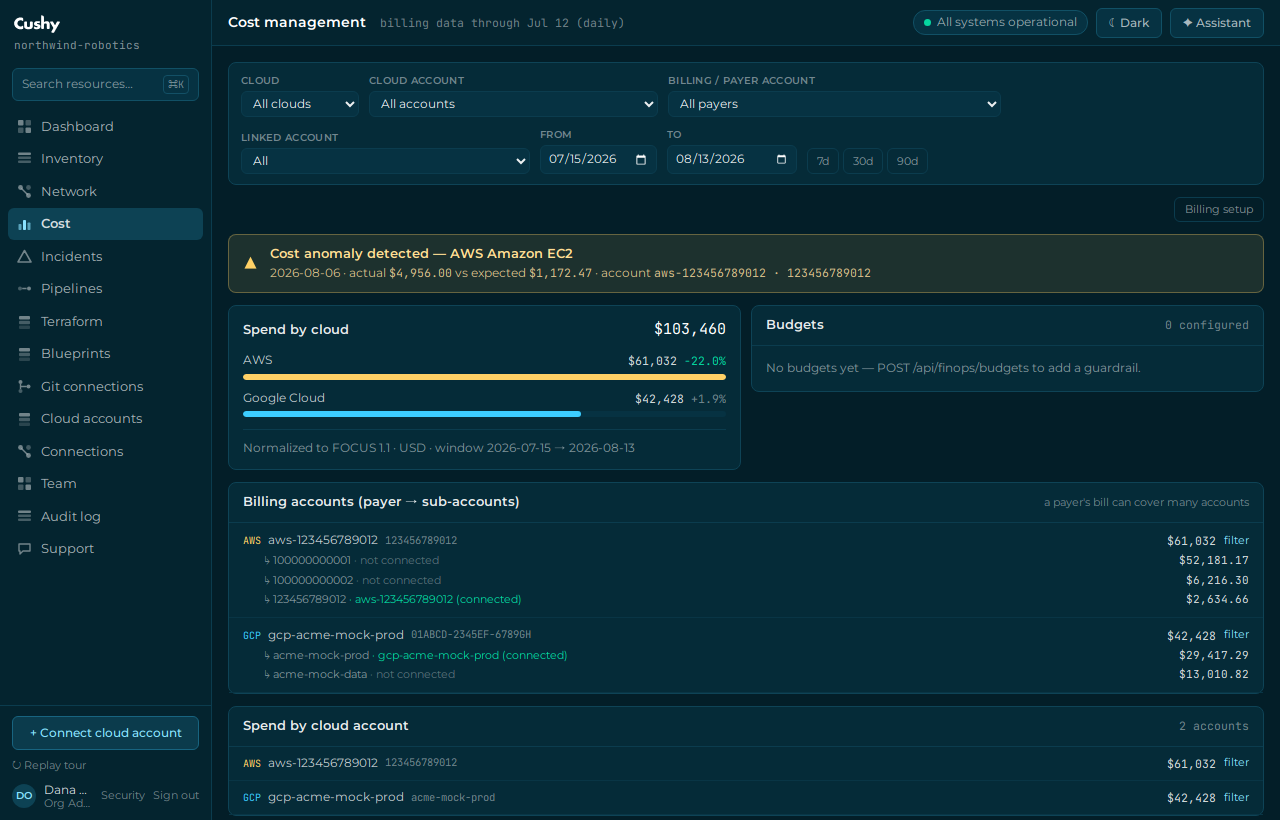 The Cost screen with real FOCUS-normalized spend by cloud, service and tag, and the anomaly banner