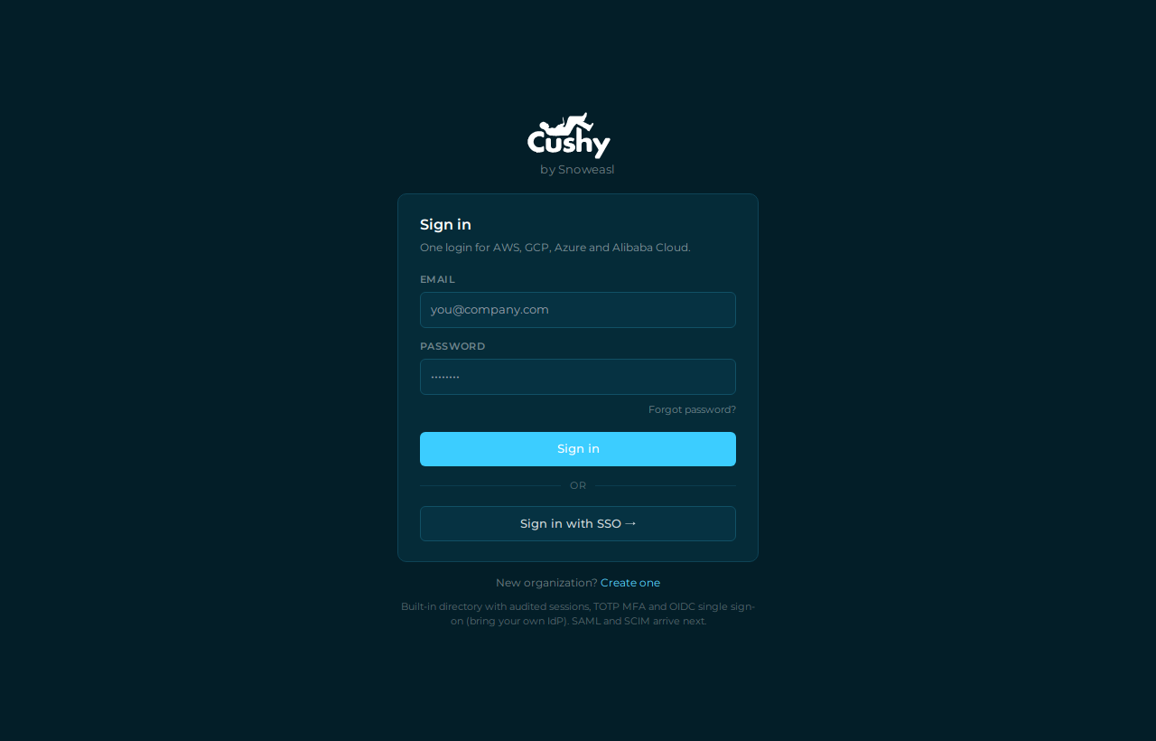 The sign-in screen with the Sign in with SSO option